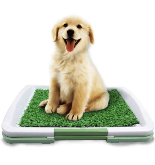 Alfombra Absorbente para Perros