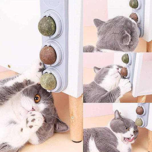 Catnip Para Gatos
